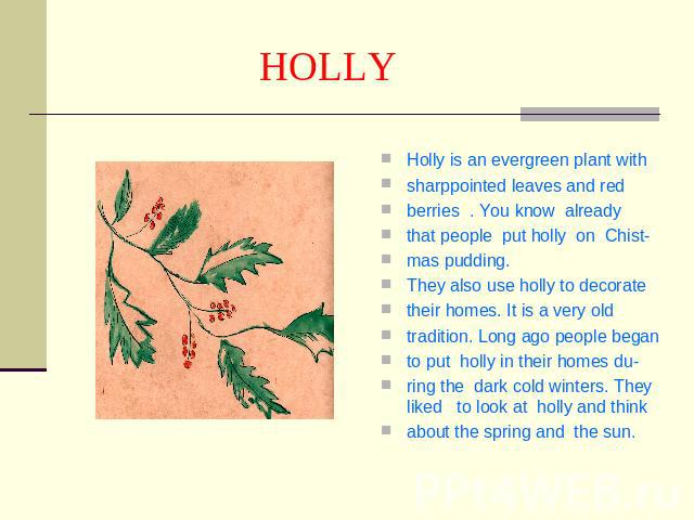 HOLLY Holly is an evergreen plant withsharppointed leaves and redberries . You know alreadythat people put holly on Chist-mas pudding. They also use holly to decoratetheir homes. It is a very oldtradition. Long ago people beganto put holly in their …