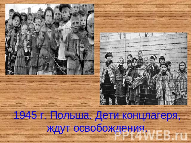 1945 г. Польша. Дети концлагеря, ждут освобождения.