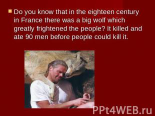 Do you know that in the eighteen century in France there was a big wolf which gr