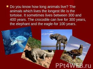 Do you know how long animals live? The animals which lives the longest life is t