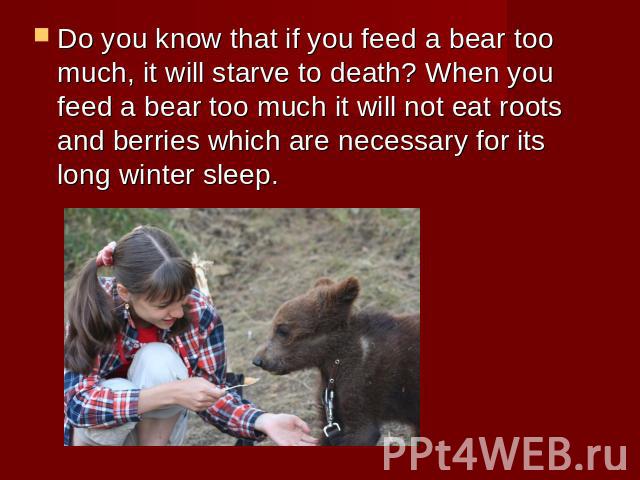 Do you know that if you feed a bear too much, it will starve to death? When you feed a bear too much it will not eat roots and berries which are necessary for its long winter sleep.