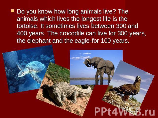 Do you know how long animals live? The animals which lives the longest life is the tortoise. It sometimes lives between 300 and 400 years. The crocodile can live for 300 years, the elephant and the eagle-for 100 years.