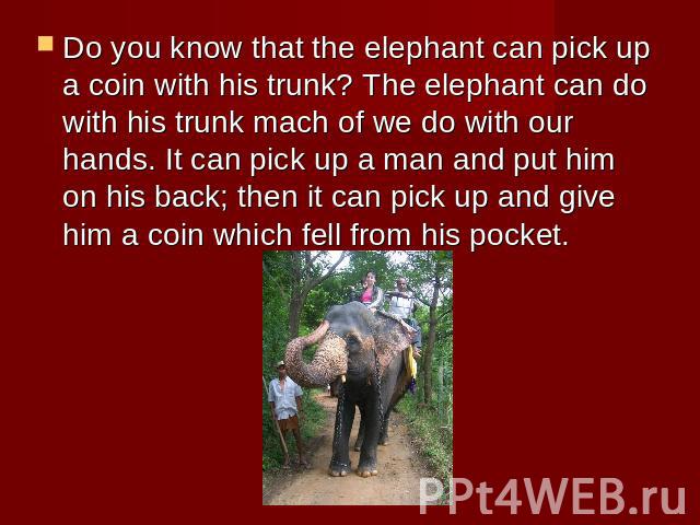 Do you know that the elephant can pick up a coin with his trunk? The elephant can do with his trunk mach of we do with our hands. It can pick up a man and put him on his back; then it can pick up and give him a coin which fell from his pocket.