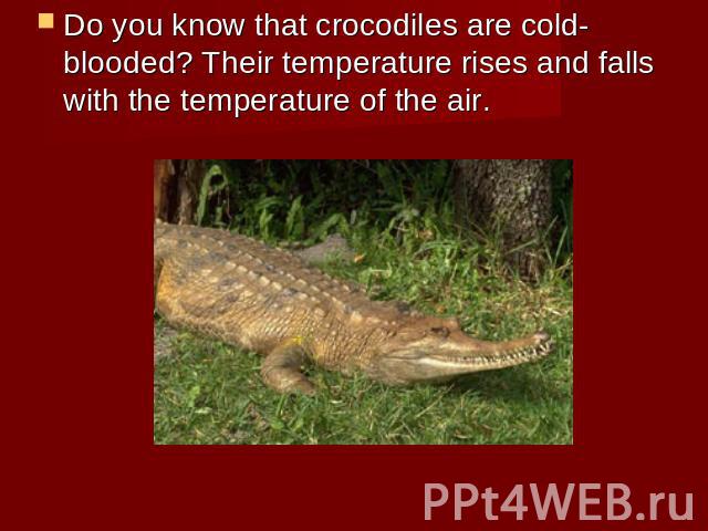 Do you know that crocodiles are cold-blooded? Their temperature rises and falls with the temperature of the air.