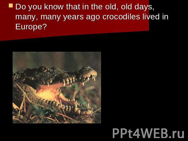 Do you know that in the old, old days, many, many years ago crocodiles lived in Europe?