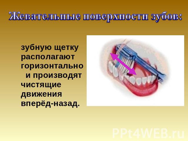 Жевательные поверхности зубов: зубную щетку располагают горизонтально и производят чистящие движения вперёд-назад.