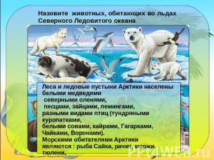 Назовите животных, обитающих во льдах Северного Ледовитого океана. Леса и ледовы