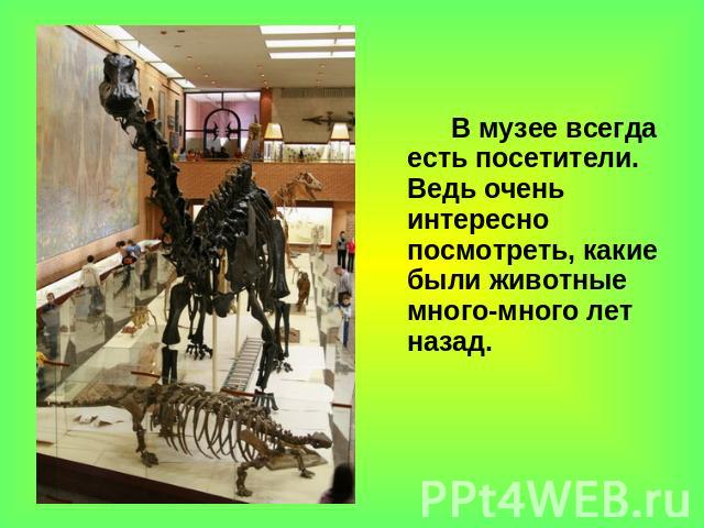 В музее всегда есть посетители. Ведь очень интересно посмотреть, какие были животные много-много лет назад.