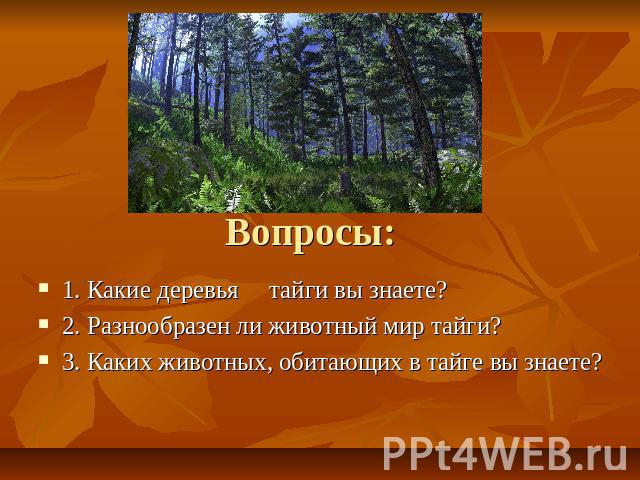 Вопросы: 1. Какие деревья тайги вы знаете?2. Разнообразен ли животный мир тайги?3. Каких животных, обитающих в тайге вы знаете?