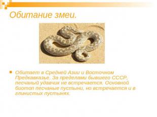 Обитание змеи. Обитает в Средней Азии и Восточном Предкавказье. За пределами быв