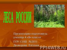 Леса России (4 класс)