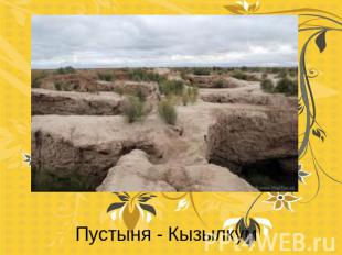 Пустыня - Кызылкум