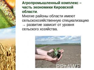 Агропромышленный комплекс – часть экономики Кировской области. Многие районы обл