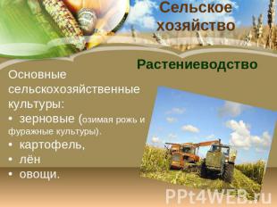 Сельское хозяйство Растениеводство Основные сельскохозяйственные культуры: зерно