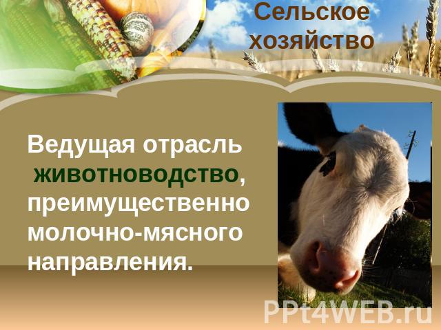 Сельское хозяйство Ведущая отрасль животноводство, преимущественно молочно-мясного направления.