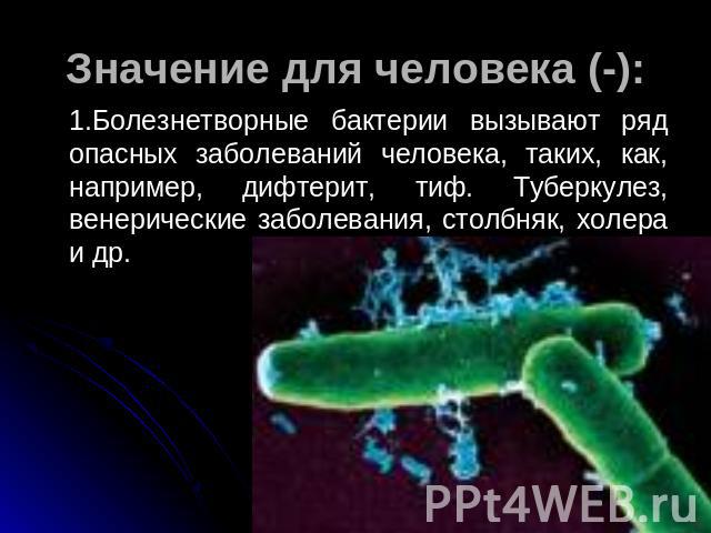 Значение для человека (-): 1.Болезнетворные бактерии вызывают ряд опасных заболеваний человека, таких, как, например, дифтерит, тиф. Туберкулез, венерические заболевания, столбняк, холера и др.
