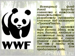 Всемирный фонд дикой природы совместно с китайским правительством разработали пр