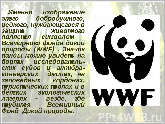 Именно изображение этого добродушного, редкого, нуждающегося в защите животного является символом Всемирного фонда дикой природы (WWF) . Значок панды можно увидеть на бортах исследователь-ских судов и антибра-коньерских джипах, на заповедных кордона…