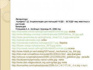 http://mycoweb.narod.ru/fungi/Submitted/Gum/rain.jpg- осинаhttp://www.dekatop.co
