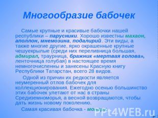 Многообразие бабочек Самые крупные и красивые бабочки нашей республики – парусни