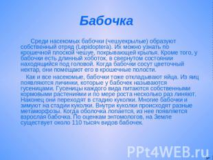 Бабочка Среди насекомых бабочки (чешуекрылые) образуют собственный отряд (Lepido