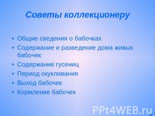 Советы коллекционеруОбщие сведения о бабочкахСодержание и разведение дома живых