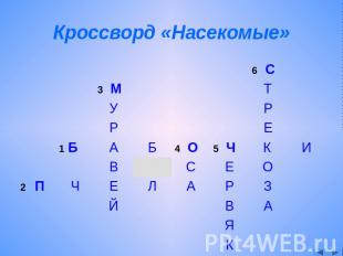 Кроссворд «Насекомые»