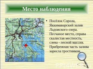 Посёлок Сорола, Яккимаварский залив Ладожского озера. Песчаное место, справа ска