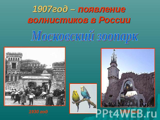 1907год – появление волнистиков в РоссииМосковский зоопарк