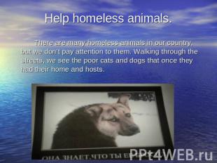 Help homeless animals. There are many homeless animals in our country, but we do