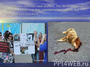 Different countries have shelters. The owners organize donation. In such way the