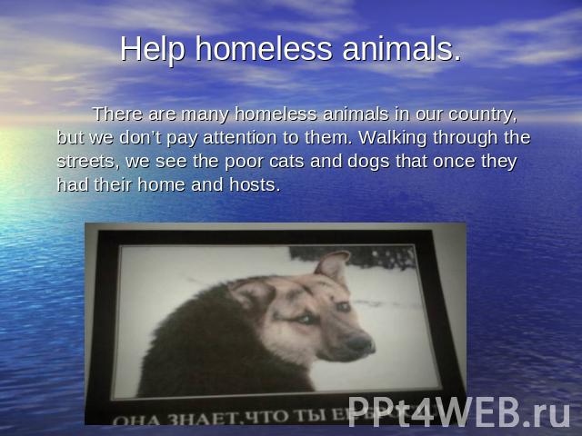 Help homeless animals. There are many homeless animals in our country, but we don’t pay attention to them. Walking through the streets, we see the poor cats and dogs that onсe they had their home and hosts.