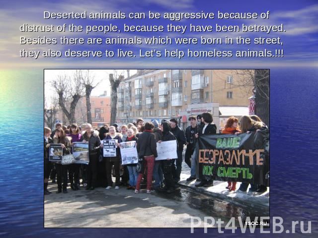 Deserted animals can be aggressive because of distrust of the people, because they have been betrayed.Besides there are animals which were born in the street, they also deserve to live. Let’s help homeless animals.!!!