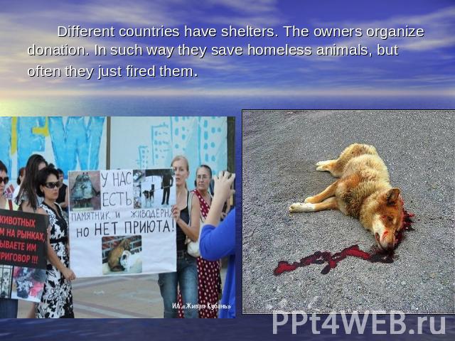 Different countries have shelters. The owners organize donation. In such way they save homeless animals, but often they just fired them.