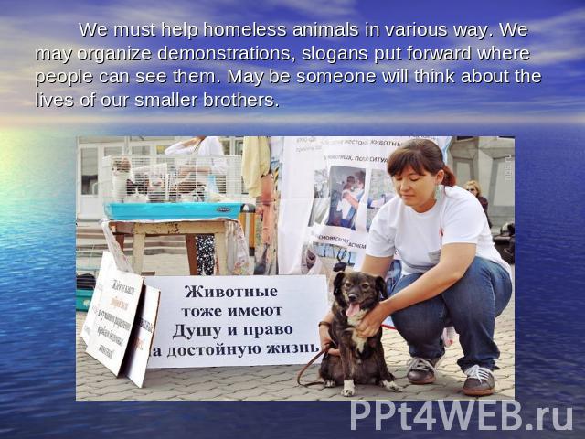 We must help homeless animals in various way. We may organize demonstrations, slogans put forward where people can see them. May be someone will think about the lives of our smaller brothers.