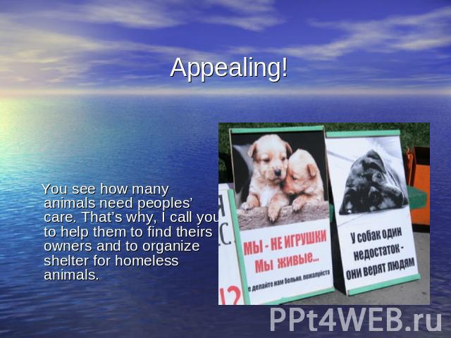 Appealing! You see how many animals need peoples’ care. That’s why, I call you to help them to find theirs owners and to organize shelter for homeless animals.