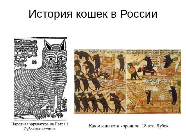 История кошек в России
