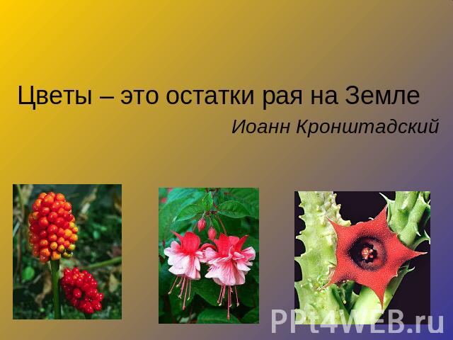 Цветы – это остатки рая на ЗемлеЦветы – это остатки рая на ЗемлеИоанн Кронштадский