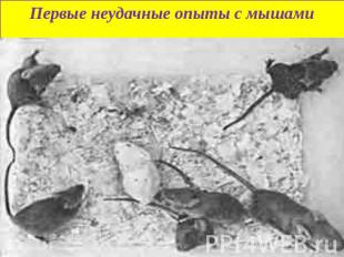 Первые неудачные опыты с мышами