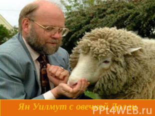 Ян Уилмут с овечкой Долли