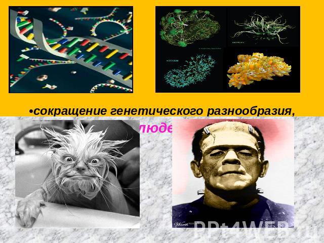 •сокращение генетического разнообразия, уязвимость к эпидемиям•Создание людей-монстров
