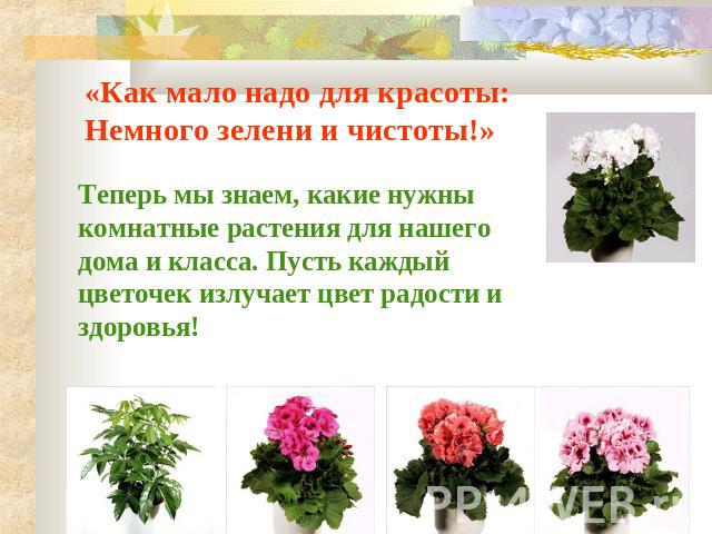 «Как мало надо для красоты:Немного зелени и чистоты!» Теперь мы знаем, какие нужны комнатные растения для нашего дома и класса. Пусть каждый цветочек излучает цвет радости и здоровья!