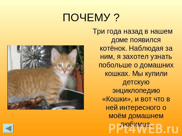 ПОЧЕМУ ?Три года назад в нашем доме появился котёнок. Наблюдая за ним, я захотел узнать побольше о домашних кошках. Мы купили детскую энциклопедию «Кошки», и вот что в ней интересного о моём домашнем любимце.