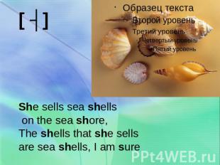 She sells sea shells on the sea shore,The shells that she sells are sea shells,