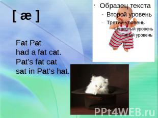 Fat Pathad a fat cat.Pat’s fat catsat in Pat‘s hat.