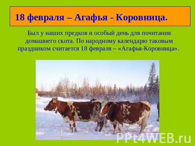 18 февраля – Агафья - Коровница.Был у наших предков и особый день для почитания домашнего скота. По народному календарю таковым праздником считается 18 февраля – «Агафья-Коровница».
