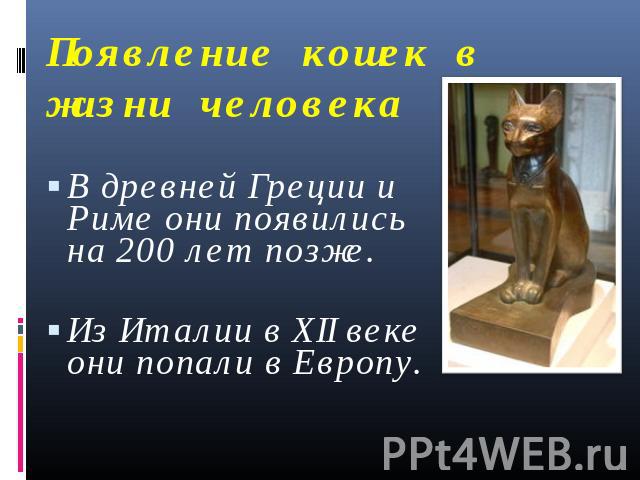 Появление кошек в жизни человекаВ древней Греции и Риме они появились на 200 лет позже. Из Италии в XII веке они попали в Европу.