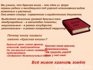 Мы узнали, что Красная книга – это одна из форм охраны редких и находящихся под