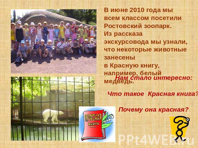 В июне 2010 года мы всем классом посетили Ростовский зоопарк.Из рассказа экскурсовода мы узнали, что некоторые животные занесеныв Красную книгу, например, белый медведь.Нам стало интересно: Что такое Красная книга? Почему она красная?