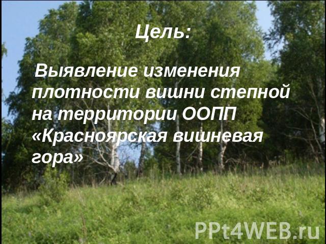Выявление изменения плотности вишни степной на территории ООПП «Красноярская вишневая гора»